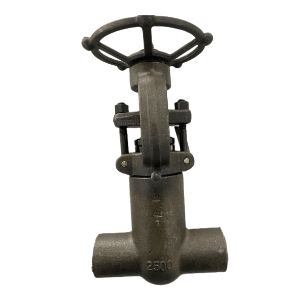 ASTM A182 F11 Gate Valve, API 602, ASME B16.34, 1 IN, 2500 LB