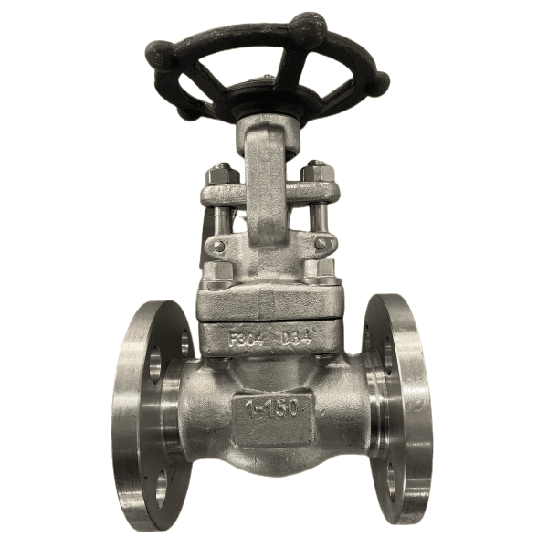 ASTM A182 F304 Gate Valve, API 602, 1 Inch, 150 LB, RF