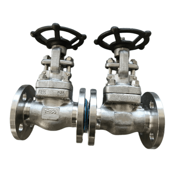 ASTM A182 F316 Gate Valve, API 602, 1 Inch, 150 LB, RF