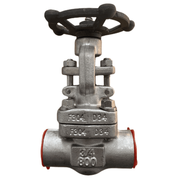 ASTM A182 F304 Gate Valve, 3/4 Inch, 800 LB, API 602