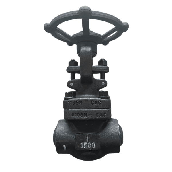 ASTM A105 Gate Valve, 1/2 Inch, 1500 LB, API 602, BW