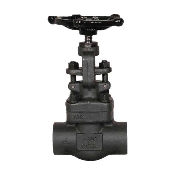 ASTM A105N Forged Globe Valve, API 602, 1 Inch, 800 LB, SW