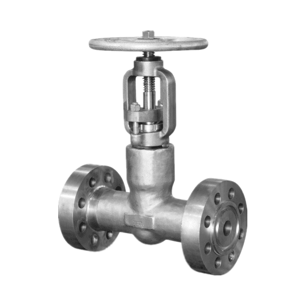 ASTM A182 F304 Globe Valve, 1 Inch, 2500 LB, API 602, RTJ