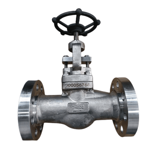 ASTM A182 F51 Globe Valve, ASME B16.34, 2 Inch, 600 LB, RF