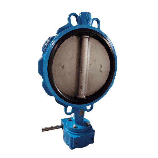 EN 593 Concentric Butterfly Valve, 12 Inch, 150 LB