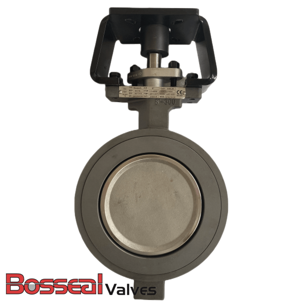 API 609 Double Offset Butterfly Valve, 2-1/2 Inch, 150 LB