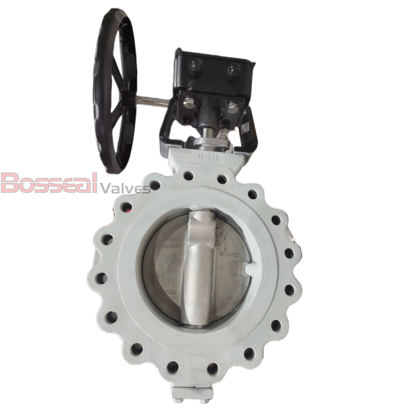 ASTM A890 5A Double Offset Butterfly Valve, CL 300, 10 IN