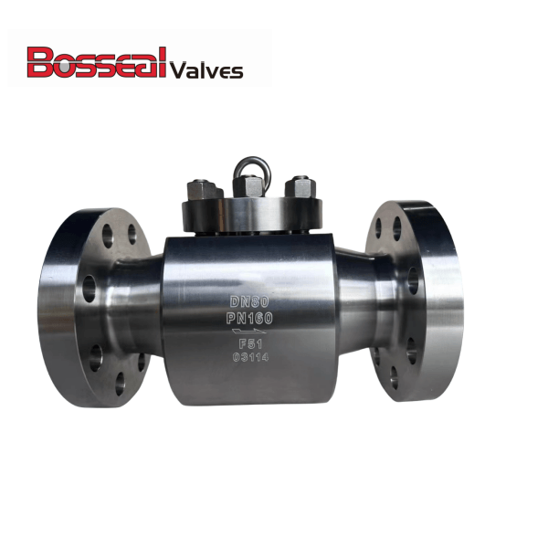 API 602 Swing Check Valve, 3IN, 900 LB, A182 F51, API 594, RF