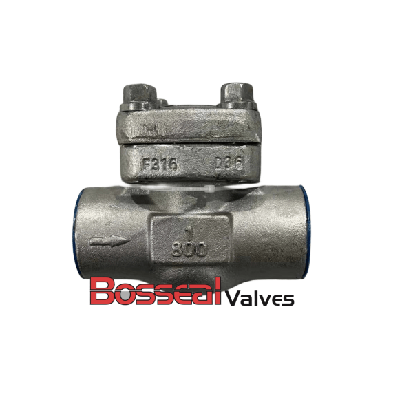 ASTM A182 F316 Piston Check Valve, 1 Inch, 800 LB, API 602