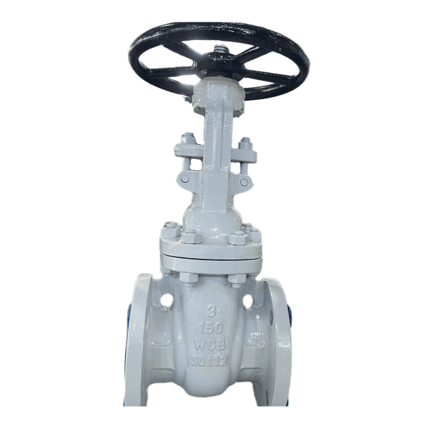 Flexible Wedge Gate Valve, API 600, 3 Inch, 150 LB, WCB, RF