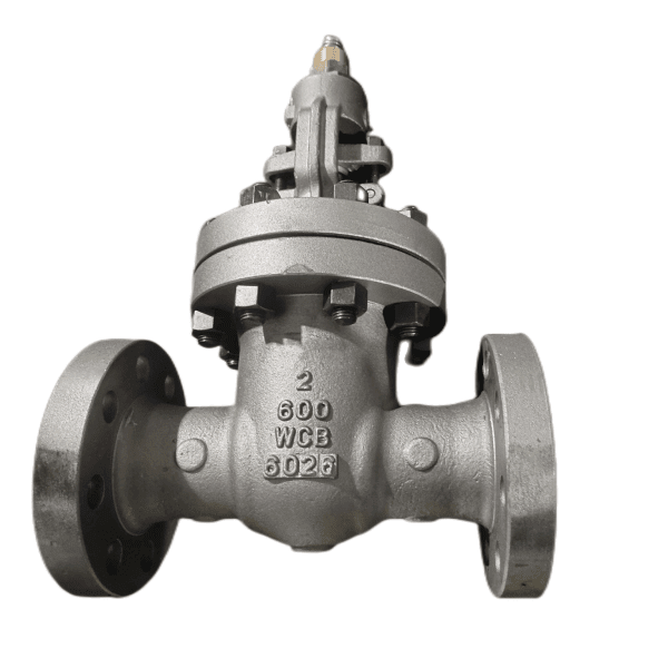 ASTM A216 WCB Gate Valve, 2 Inch, 600 LB, API 600, RF