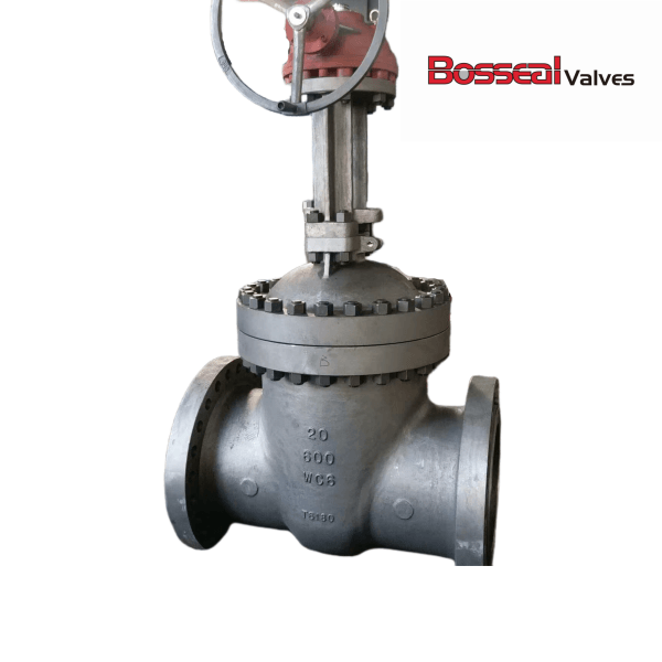 ASTM A217 WC6 Gate Valve, API 600, 20 IN, 600 LB, Trim 8, RF