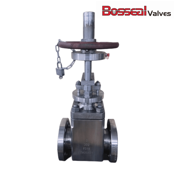 ASTM A182 F316 Gate Valve, 2 Inch, 300 LB, ASME B16.34, RF