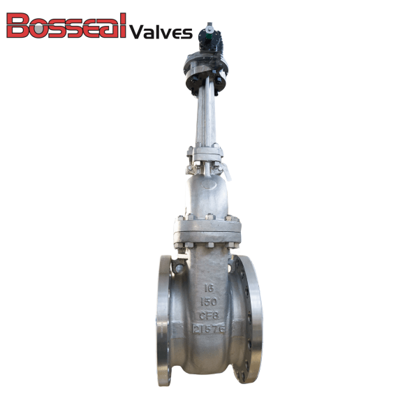 ASTM A351 CF8 Gate Valve, API 600, API 603, 16 IN 150 LB, RF