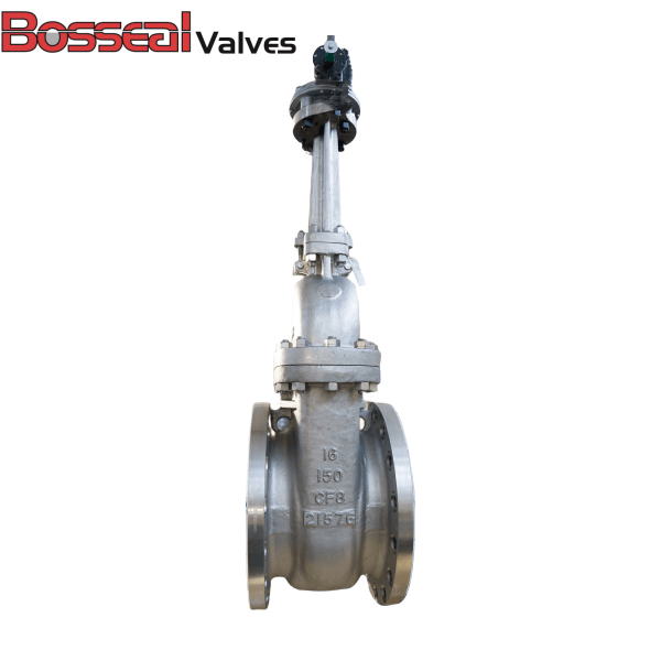 API 603 Gate Valve, 14 Inch, 150 LB, ASTM A351 CF8, 304 Trim