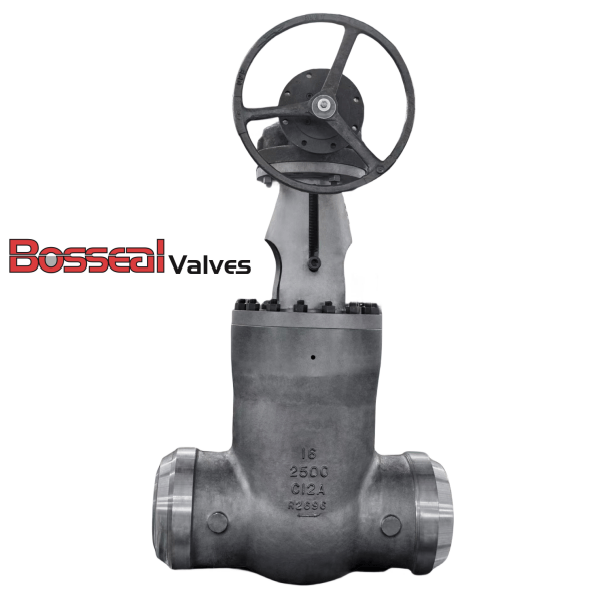 Class 2500 LB Pressure Seal Gate Valve, 14IN, API 600, C12A