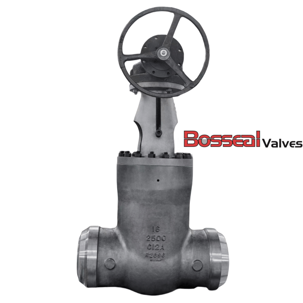 2500 LB Gate Valve, Pressure Seal, API 600, 12 IN, A217 C12A