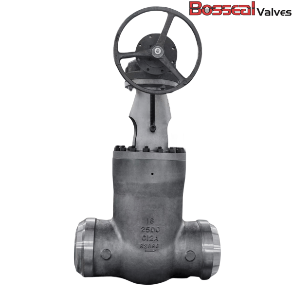 Gear Operated Pressure Seal Gate Valve, 10IN, 2500 LB, C12A