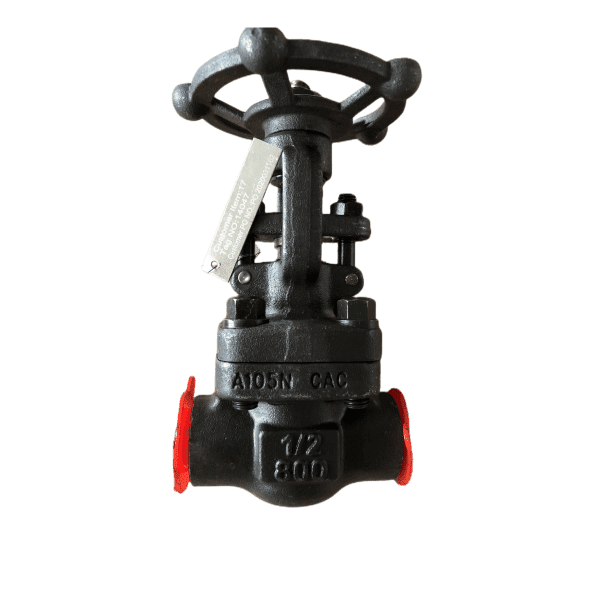 A105 Body 316 Trim Forged Gate Valve, 1/2 Inch, 800 LB, SW