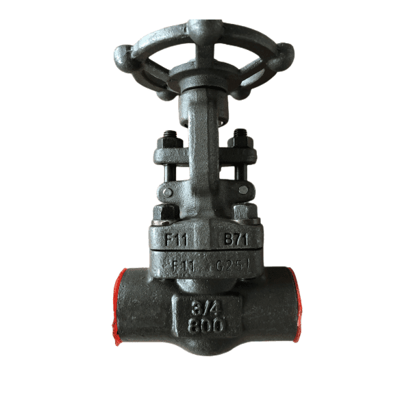 Forged ASTM A182 F11 Gate Valve, API 602, 3/4 IN, 800 LB, SW