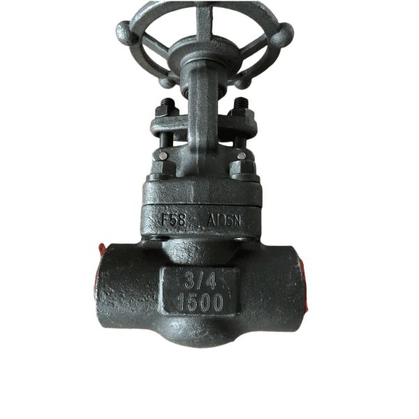 ASME B16.34 Gate Valve, ASTM A105, 3/4 IN, 1500 LB, API 602