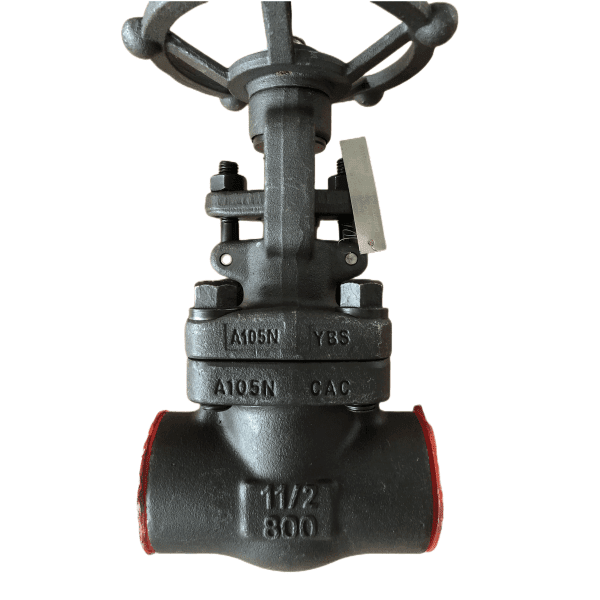 Bolted Bonnet Forged Gate Valve, 1-1/2 Inch, 800 LB, SW