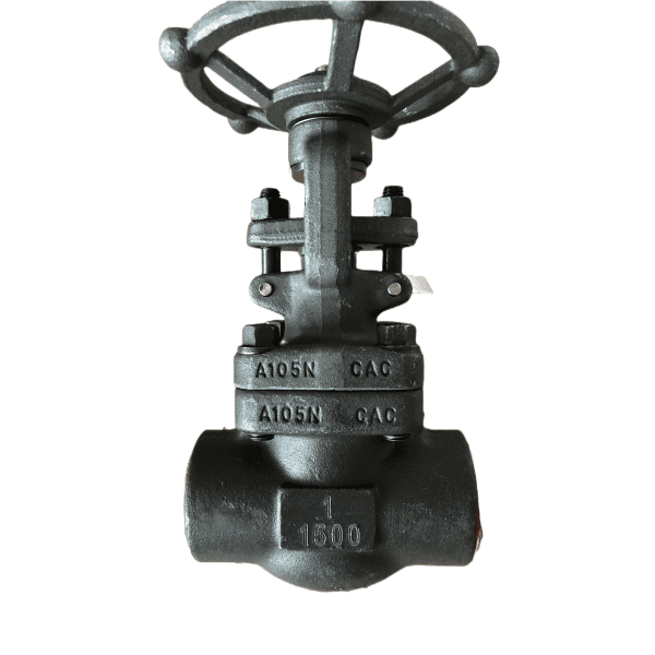 Regular Bore Gate Valve, ASTM A105N, 1 Inch, 1500 LB, NPT