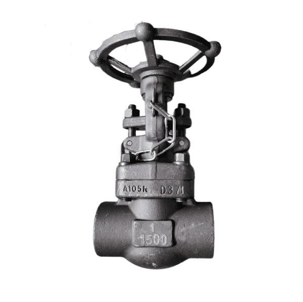 ASTM A105N Forged Gate Valve, API 602, 1 Inch, 1500 LB, NPT