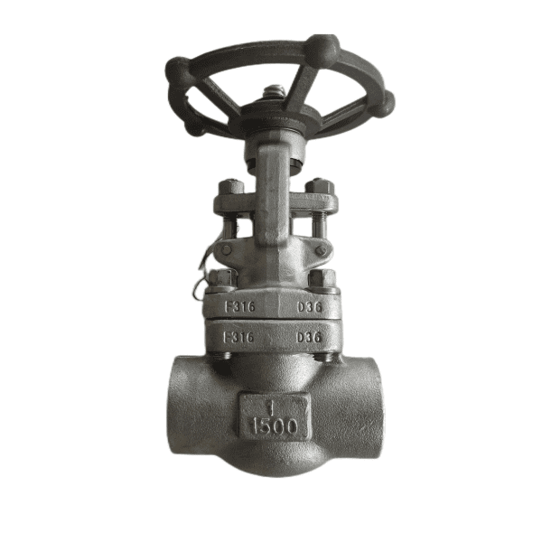 ASTM A182 F316 Forged Gate Valve, API 602, 1IN, CL1500, SW