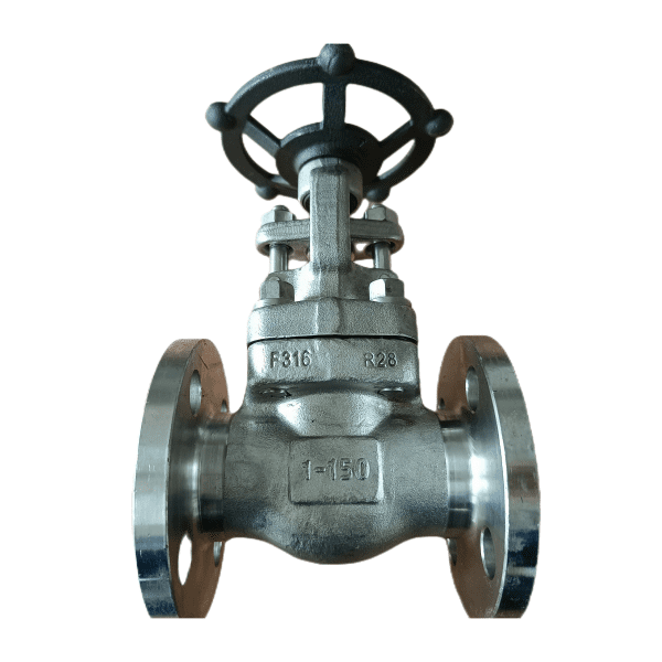 Flanged Gate Valve, API 602, ASTM A182 F316, 1 Inch, 150 LB