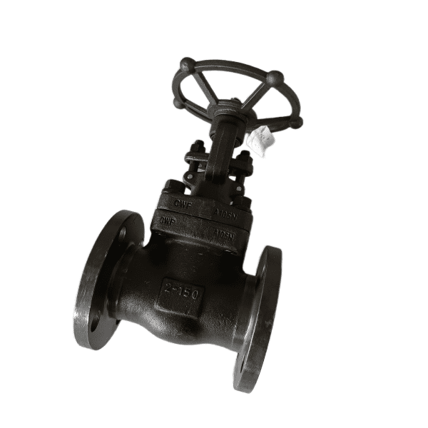 ASME B16.34 Flanged Gate Valve, 2 Inch, 150 LB, API 602