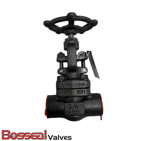 ASTM A350 LF2 Gate Valve, 1/2 Inch, 800 LB, ASME B16.34, SW