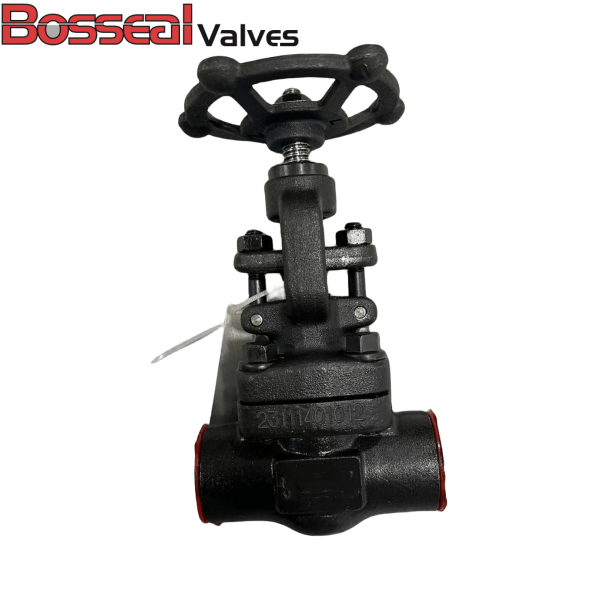 ASME B16.34 Gate Valve, API 602, 3/4IN, 800 LB, A350 LF2, SW