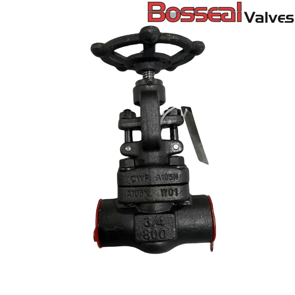 Class 800 Gate Valve, 2 Inch, ASTM A350 LF2, ASME B16.34, SW