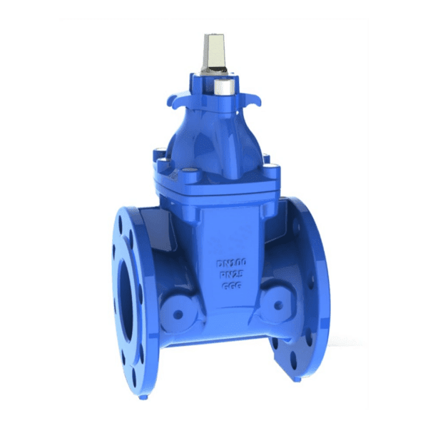 Ductile Iron Resilient Gate Valve, PN25, DN150, BS 5163