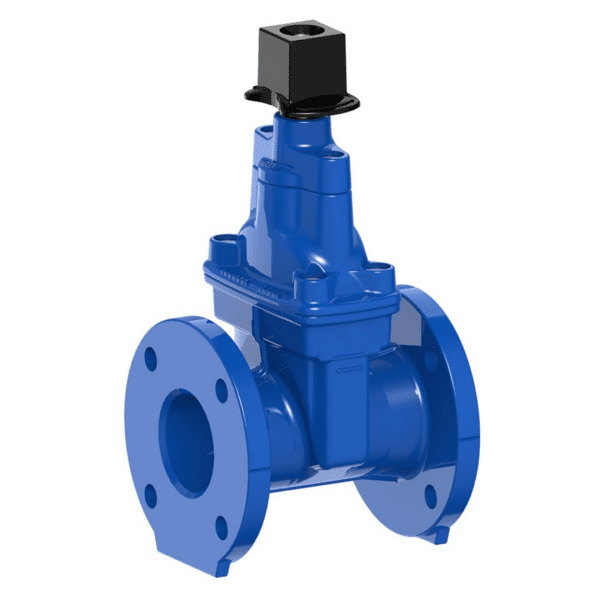 BS 5163, EN 558/3, EN 1074 Resilient Gate Valve, DN50, PN16