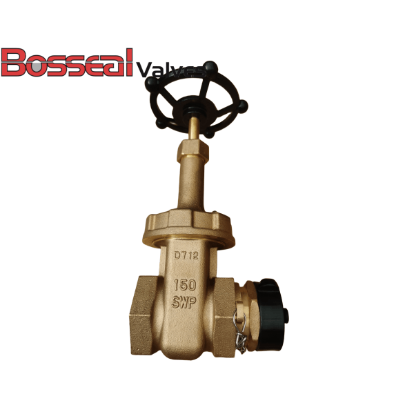 ASTM B62 C83600 Gate Valve, DN25, PN16, MSS SP-70, NPT