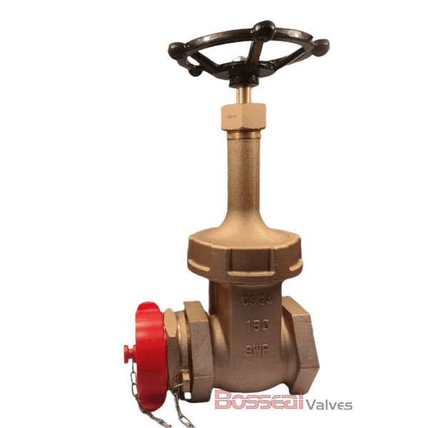 ASTM B62 Bronze Gate Valve, 1/4 Inches, CL 300 LB, MSS SP-80