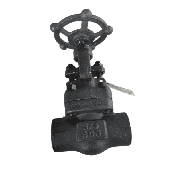 3/4 Inch Forged Globe Valve, 800 LB, A105N, API 602, NPT