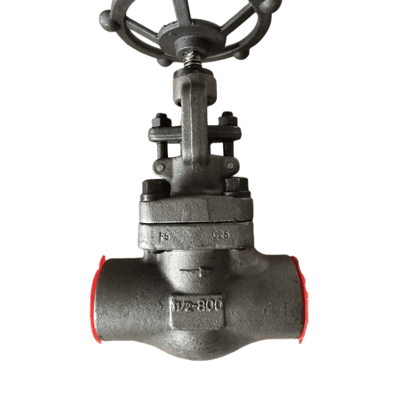 ASTM A182 F5 Forged Globe Valve, 1-1/2 Inch, 800 LB, SW