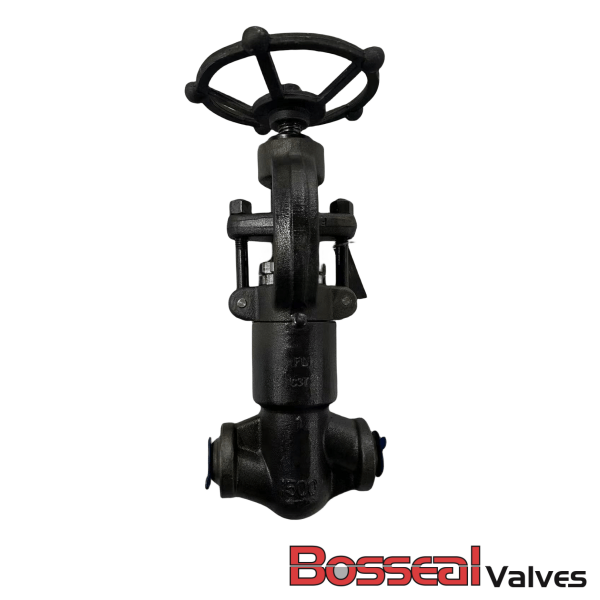 Pressure Seal Globe Valve, 3/4 IN, CL1500, F11, ASME B16.34