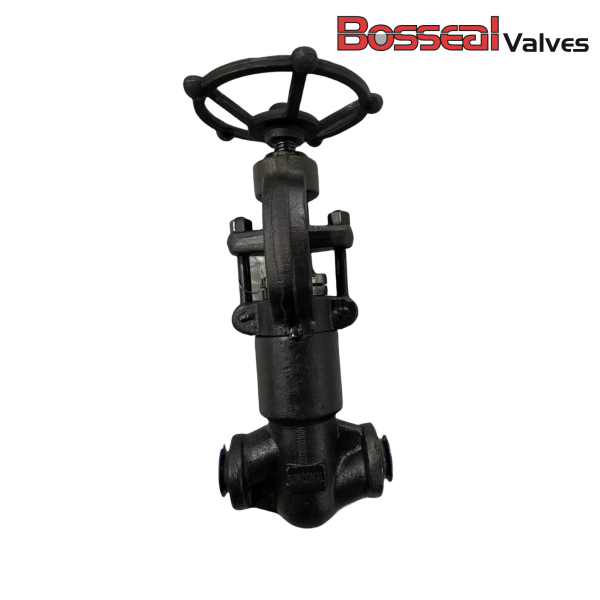 Class 1500 LB Globe Valve, 1 Inch, ASME B16.34, A182 F11, BW