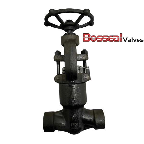 ASTM A182 F22 Globe Valve, ASME B16.34, 1/2 Inch, 1700 LB