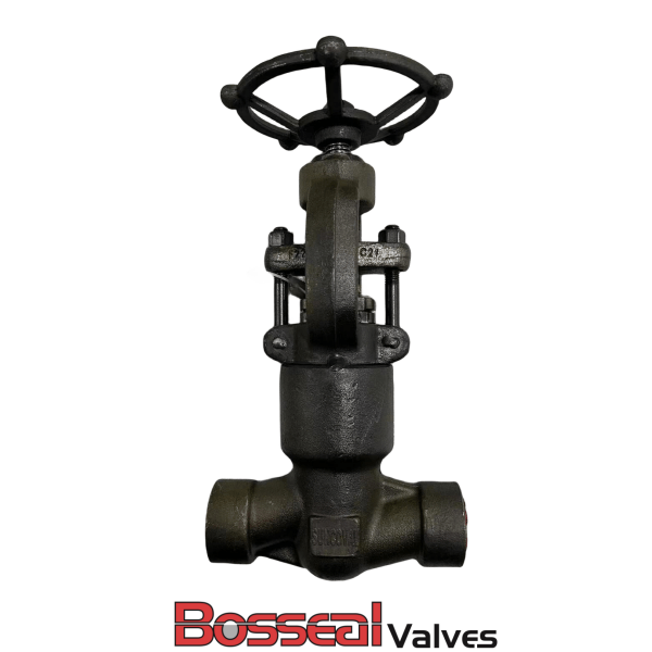 Class 1700 LB Globe Valve, 3/4 Inch, ASME B16.34, A182 F22