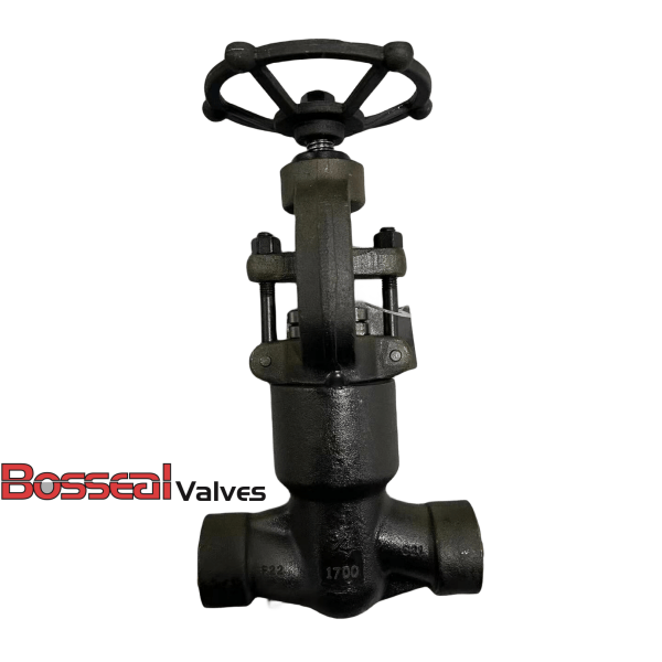 CL1700 Globe Valve, 1IN, A182 F22, ASME B16.34, API 602, SW