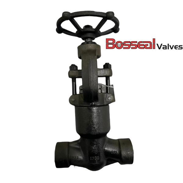 API 602 Pressure Seal Globe Valve, 2 Inch, 1700 LB, A182 F22