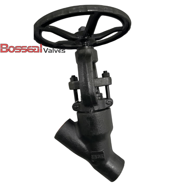 ASTM A182 F316 Y Type Globe Valve, 1-1/2 IN, 800 LB, API 602