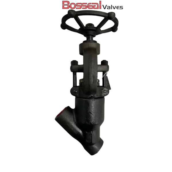 Y Pattern Globe Valve, API 602, 1500 LB, 1/2 IN, ASTM A105N