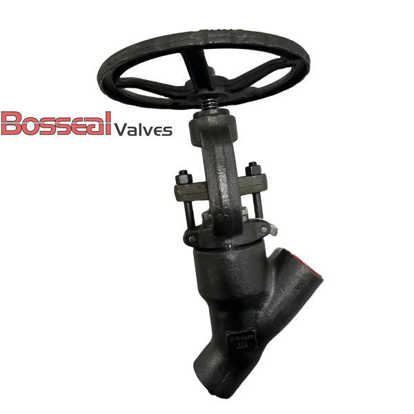 API 602 Y Globe Valve, ASTM A182 F316, 3/4 IN, CL1690, DN20