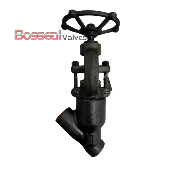 Pressure Seal Bonnet Y Globe Valve, 2 IN, CL2500, A182 F22